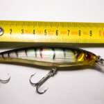 Китайский Rapala X-Rap XR10 фото