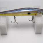 Копия фотографии Megabass Vision