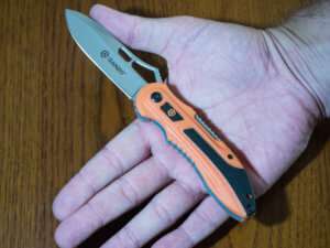 GANZO Firebird G621 в руке